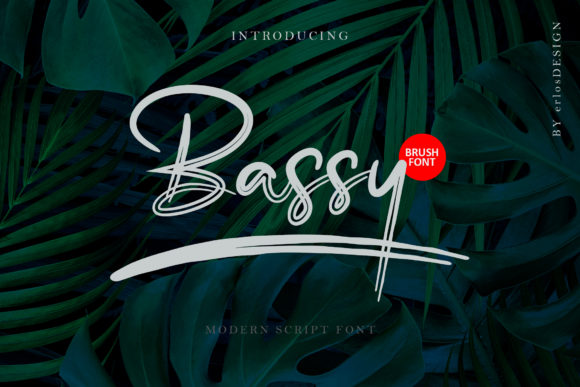 Bassy: A Font That Elevates Typography with Elegance and Versatility
