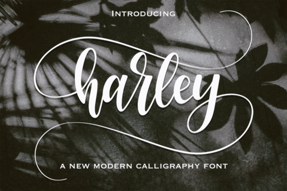 Harley: The Modern Calligraphy Font for Timeless Design