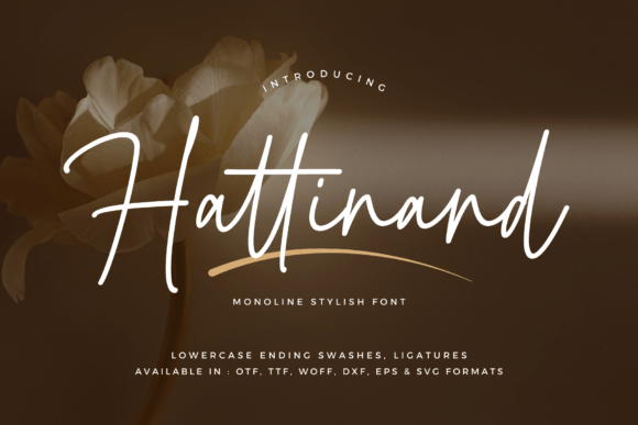 Hattinand Font: A Modern Monoline Script for Elegant Design