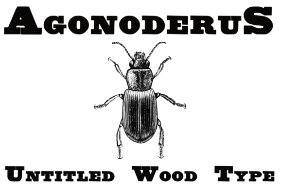 Untitled Wood Type: A Strategic Font for Timeless Design and Historical Authenticity